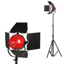 LadyBug 1000 LED 2-Light Kit